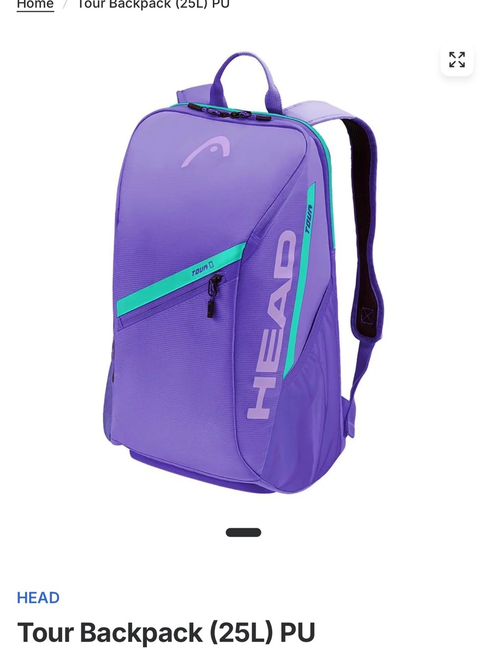 HEAD Purple Backpack with Teal Accents